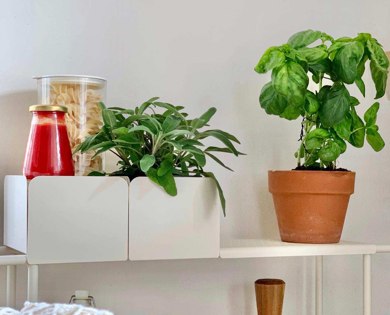 Progettare e arredare una cucina piccola: 6 suggerimenti per massimizzare lo spazio