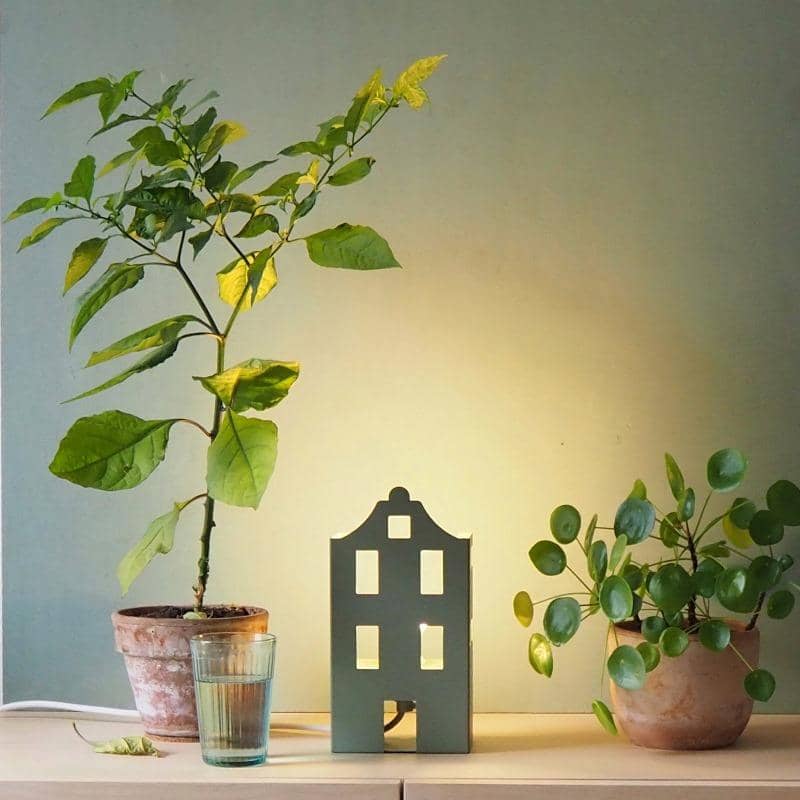 Home - Lampada