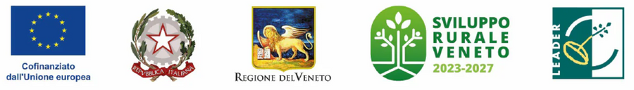 Cofinanziato dall'Unione europea — loghi istituzionali